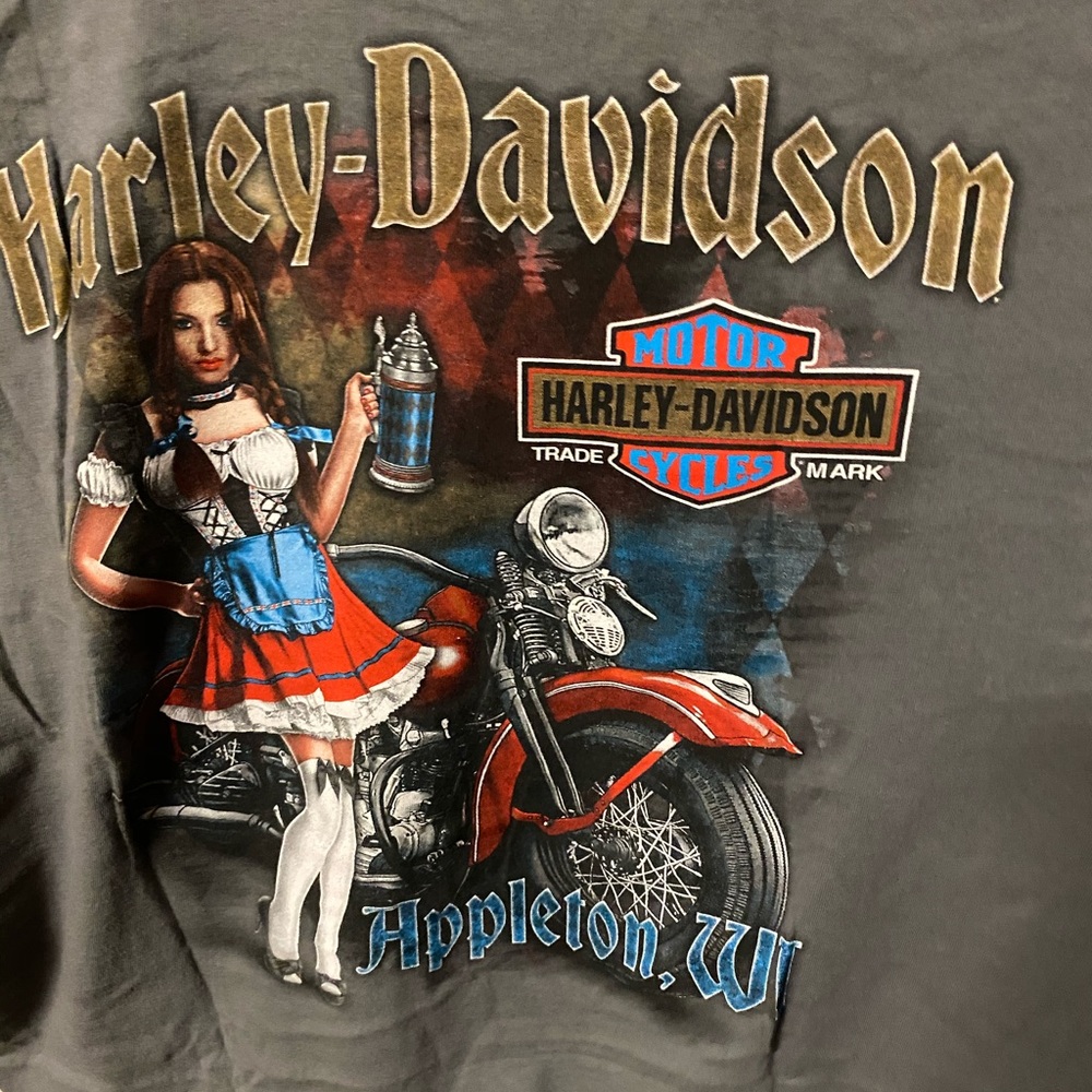 EUC Men’s H-D T-shirt (Appleton, WI)